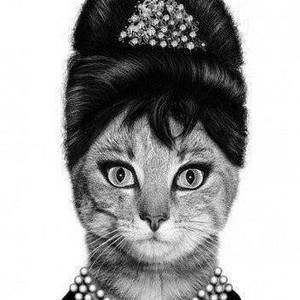 Meet your Posher, Deana